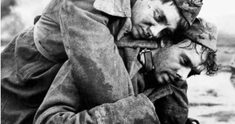 Filmbulletin 350 2015 4