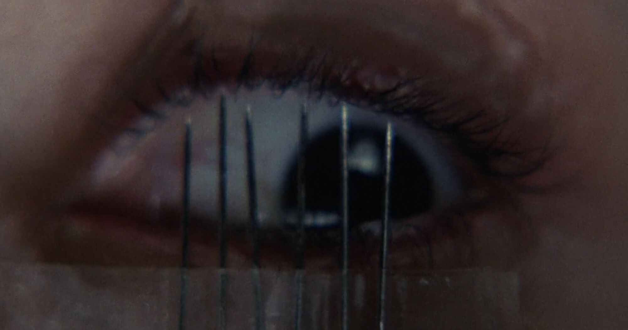 Bildschirmfoto 2022 08 15 um 13 54 Kopie