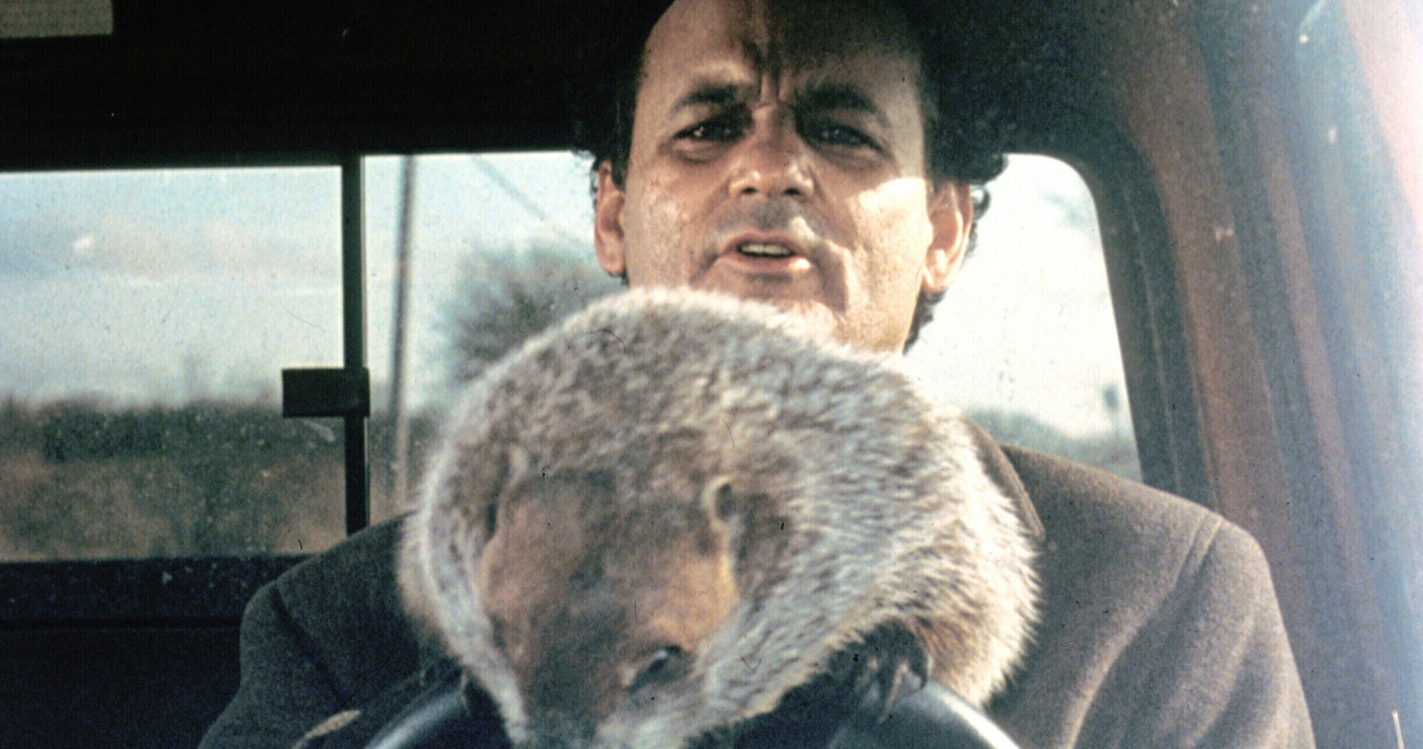 Groundhog Day
