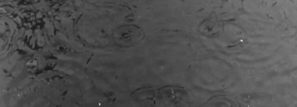 Regen