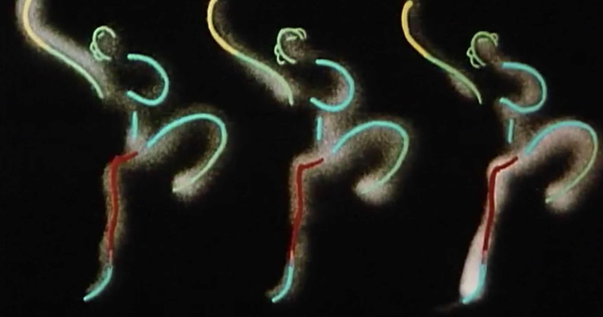 Kurzfilmtage schweiz fokus 4