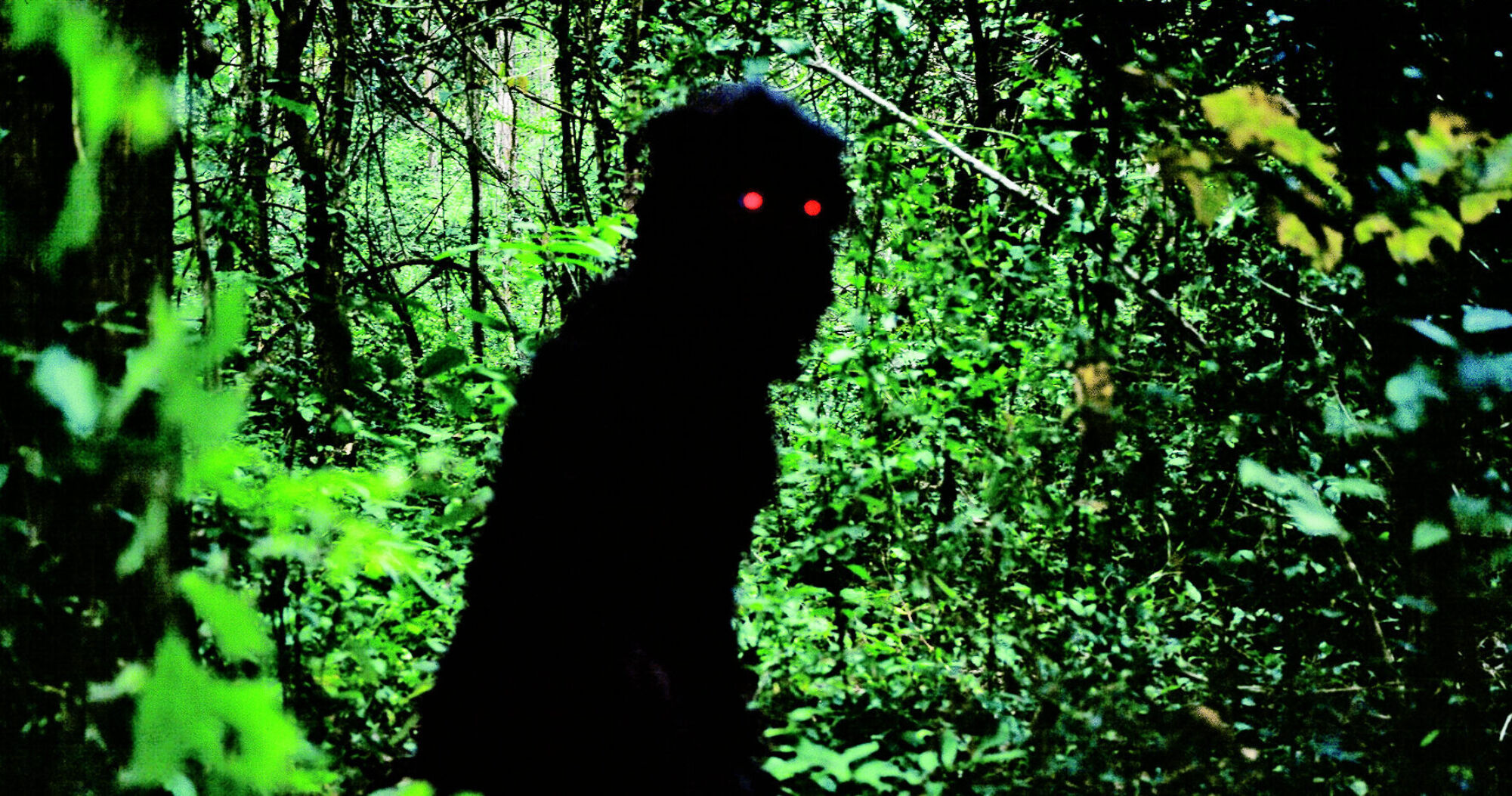 Uncle boonmee who can recall his past lives io Ay OE