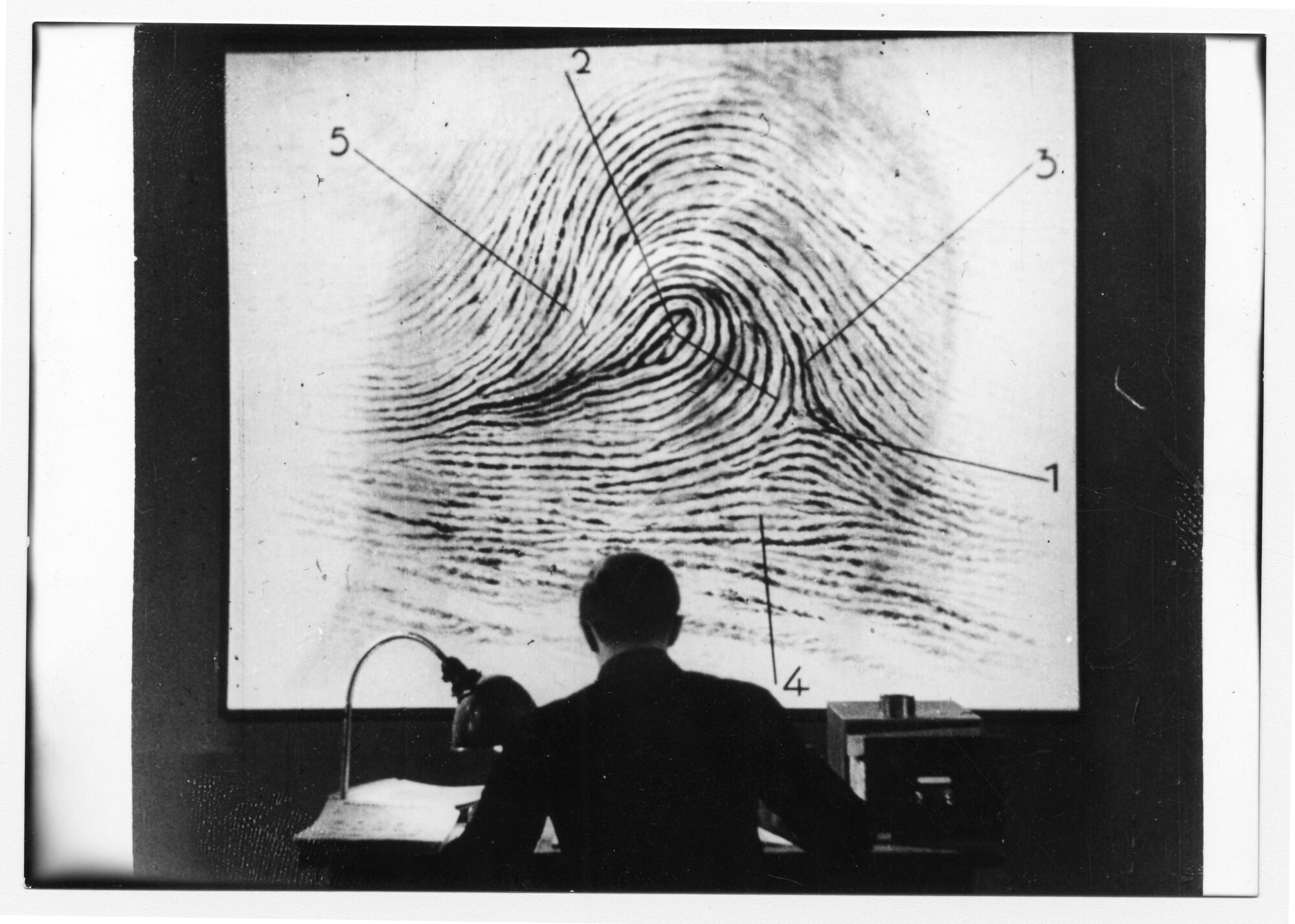 M EINE STADT SUCHT EINEN Mô RDER 019 1000047425