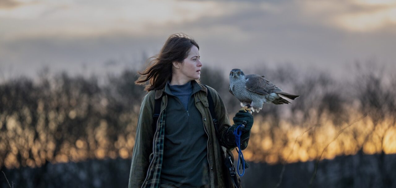 H Is for Hawk