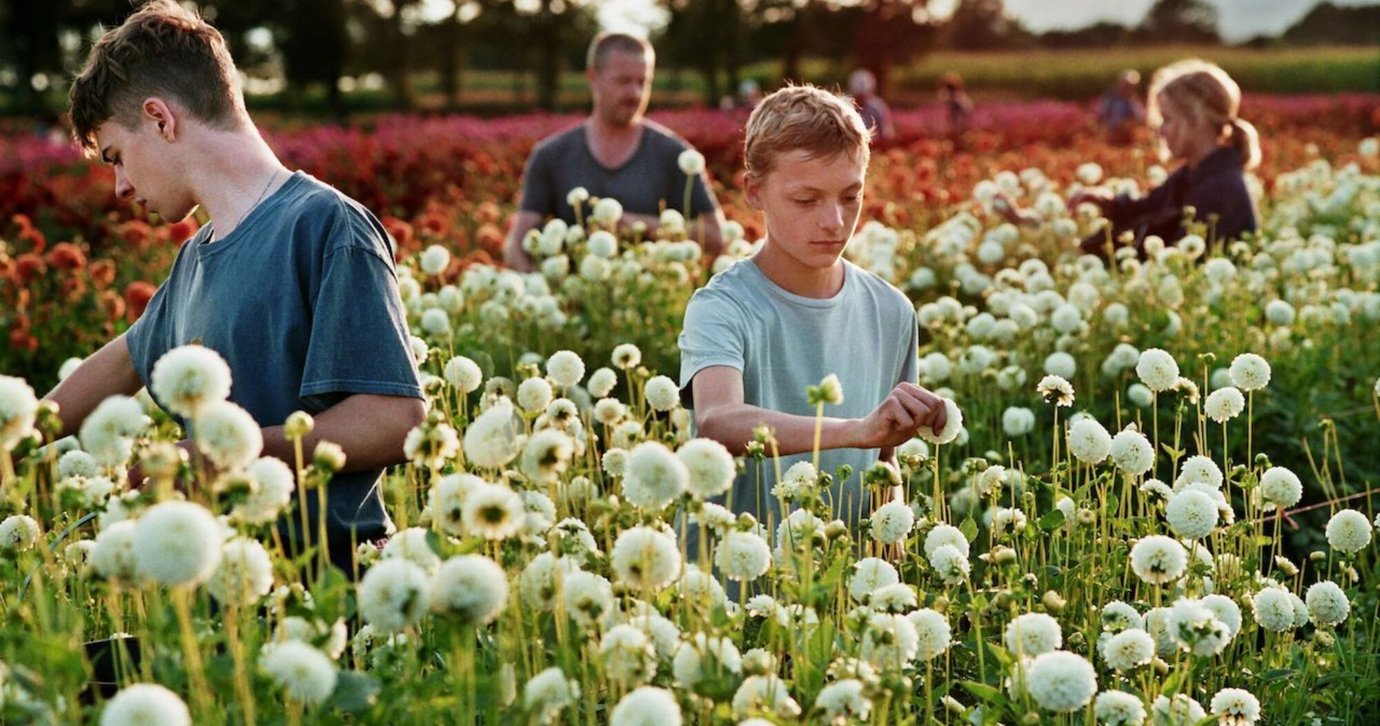 3 CLOSE chd CLOSE Filmstill 01 copyright 2022 Filmcoopi AG