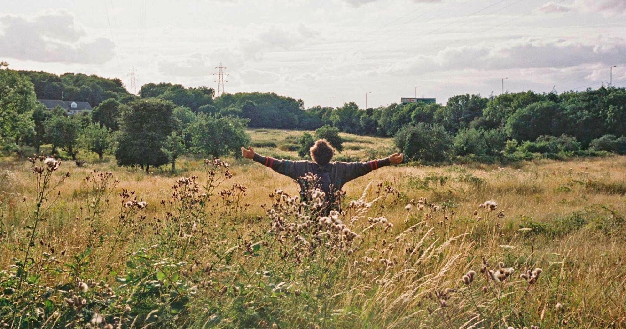 6 BIRD chd 03 BIRD Still 3 House Bird Limited Photographer Atsushi Nishijima