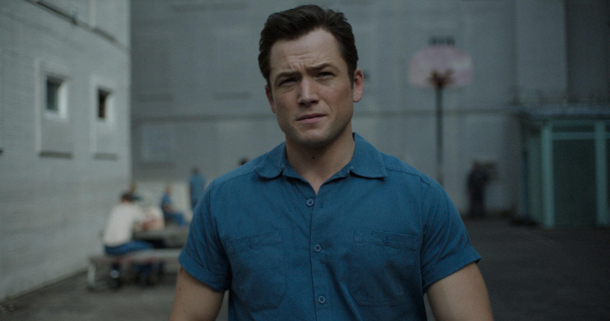 Black Bird Photo 010401