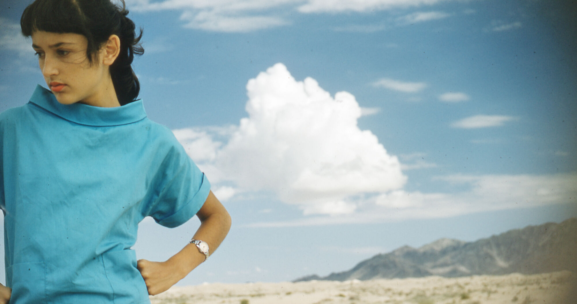 Joan Baez I AM A NOISE