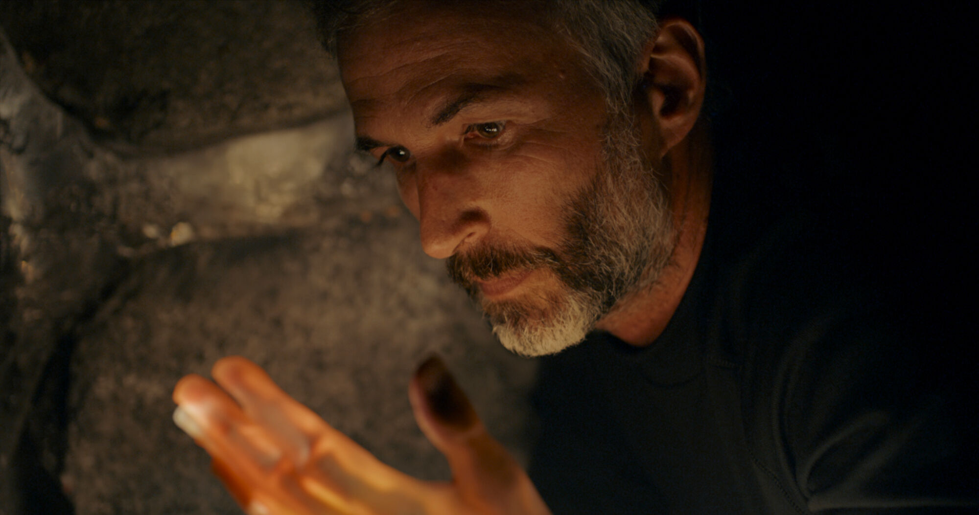 La Montagne Sister Distribution3