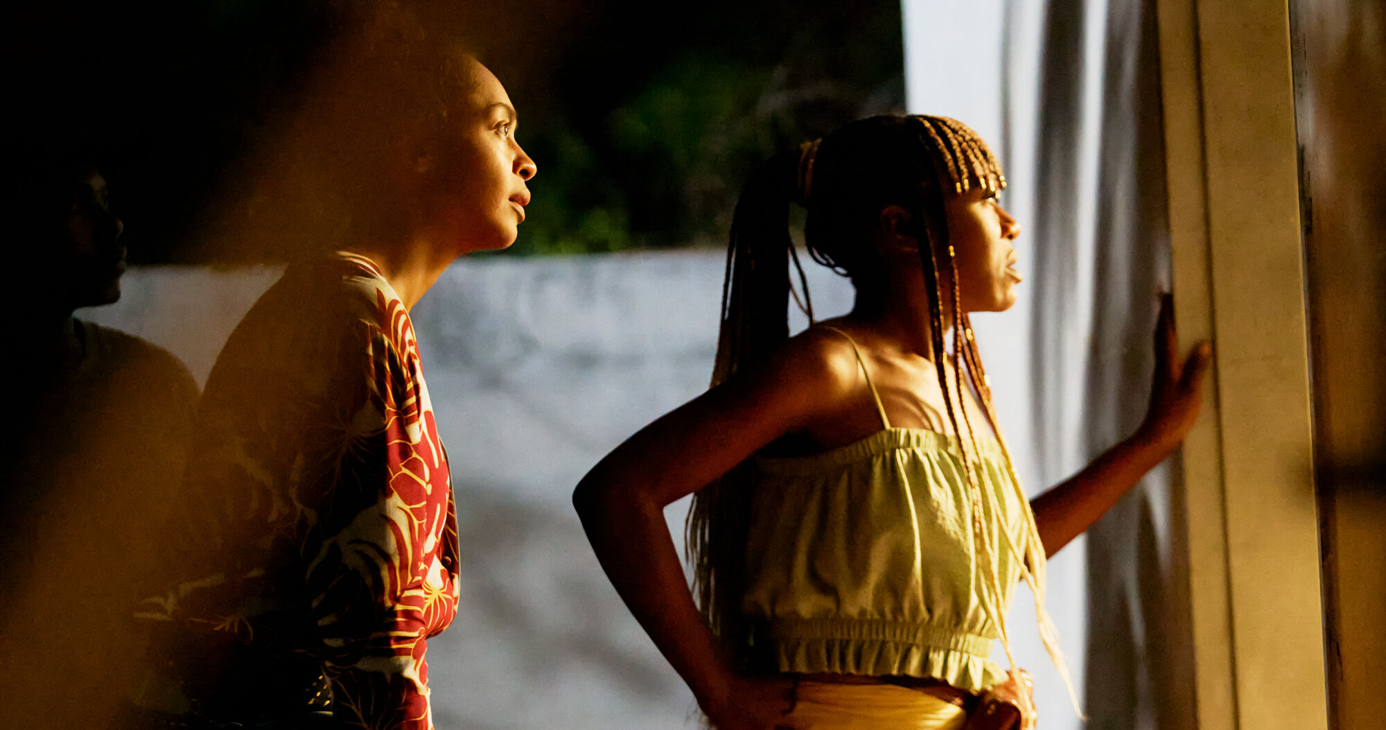 On Becoming A Guinea Fowl 06