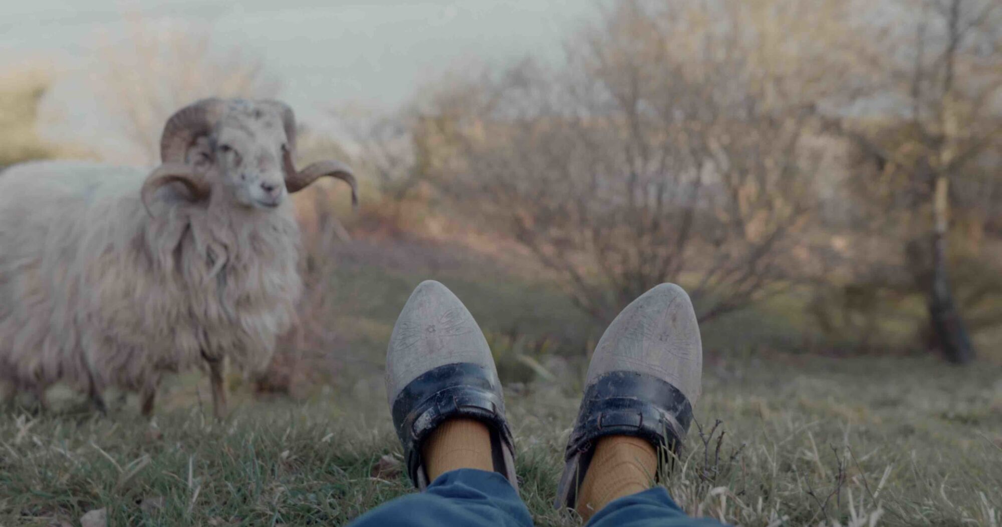 Preparations for a Miracle