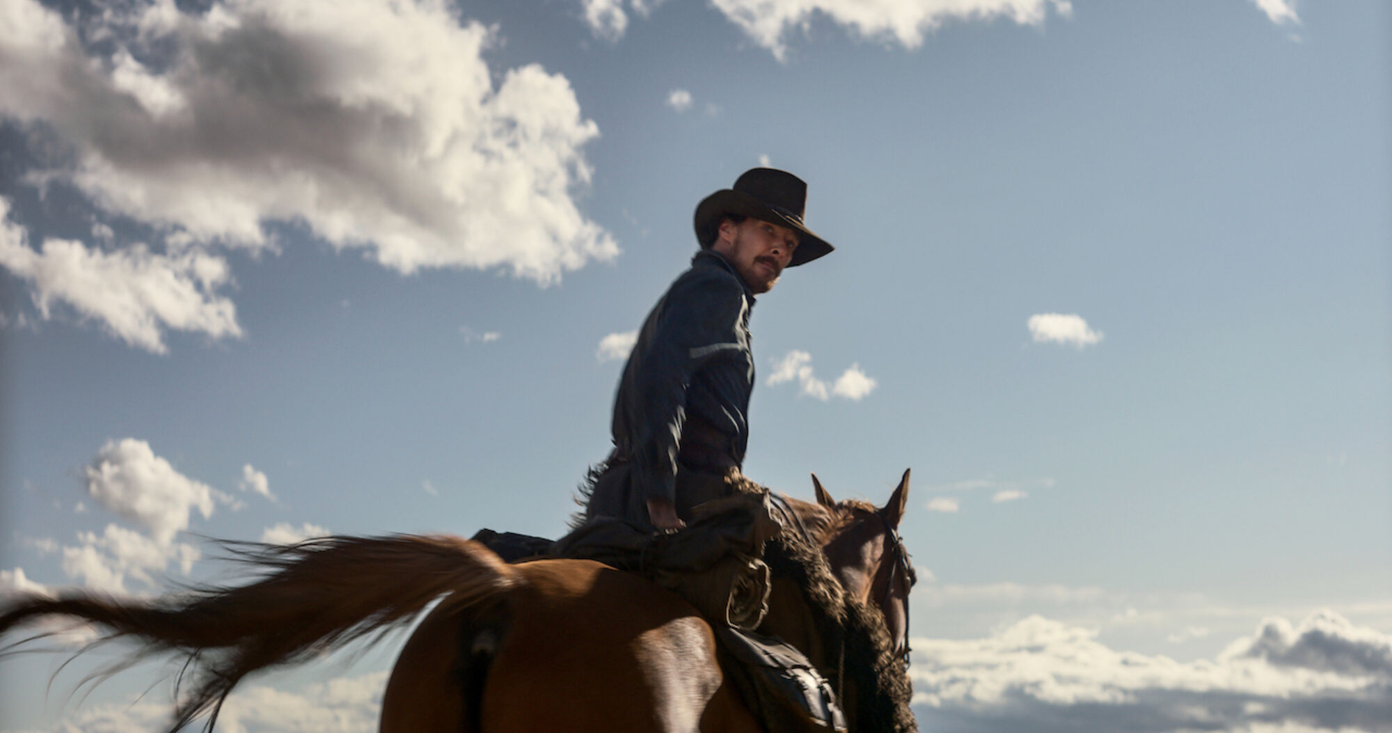 Power of the dog ks 0006