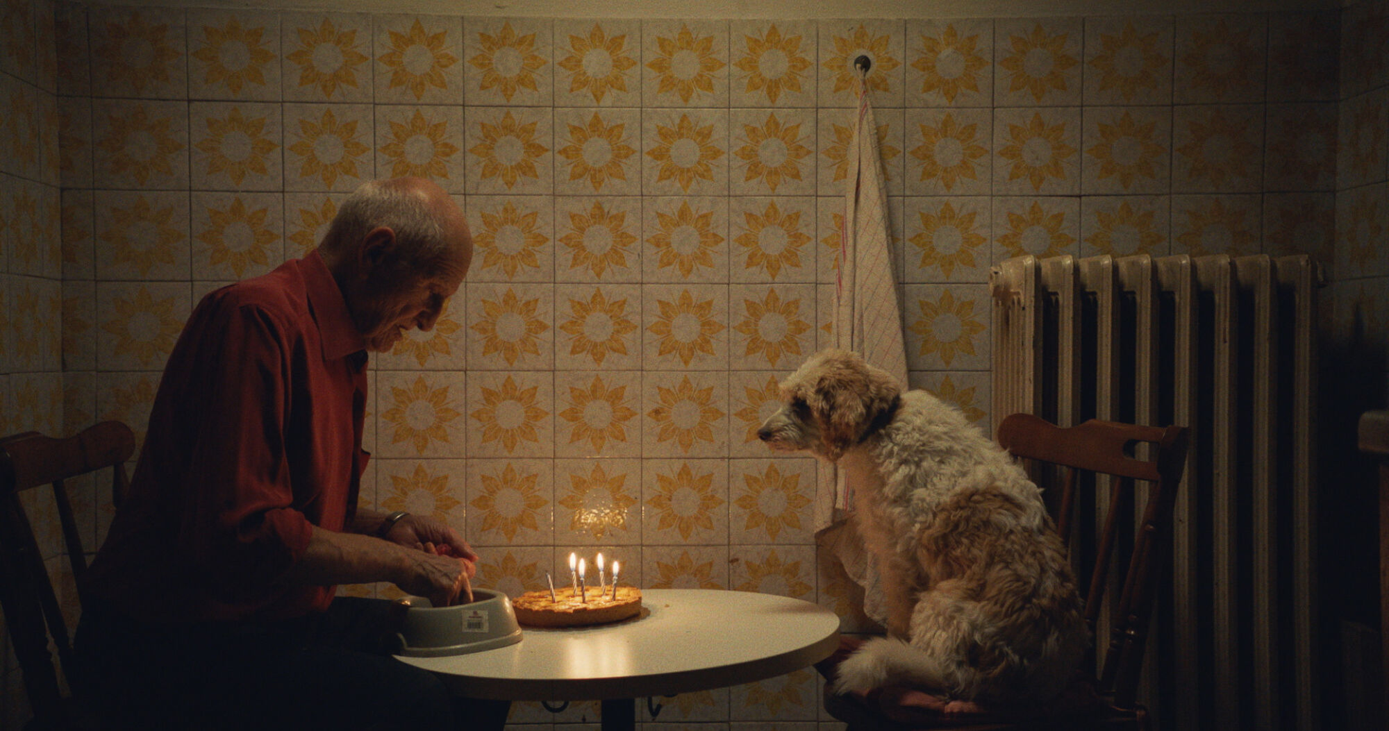 The truffle hunters 11