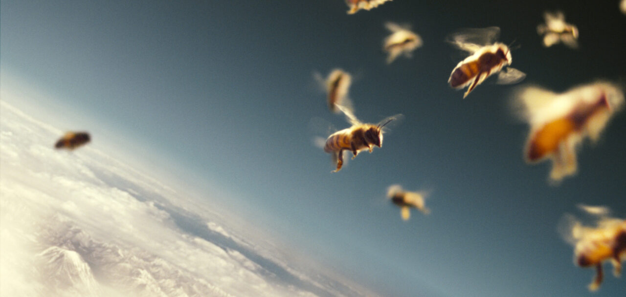 More than Honey 1