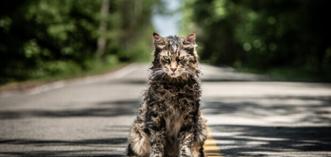 Pet sematary szenen ov 02 scene picture