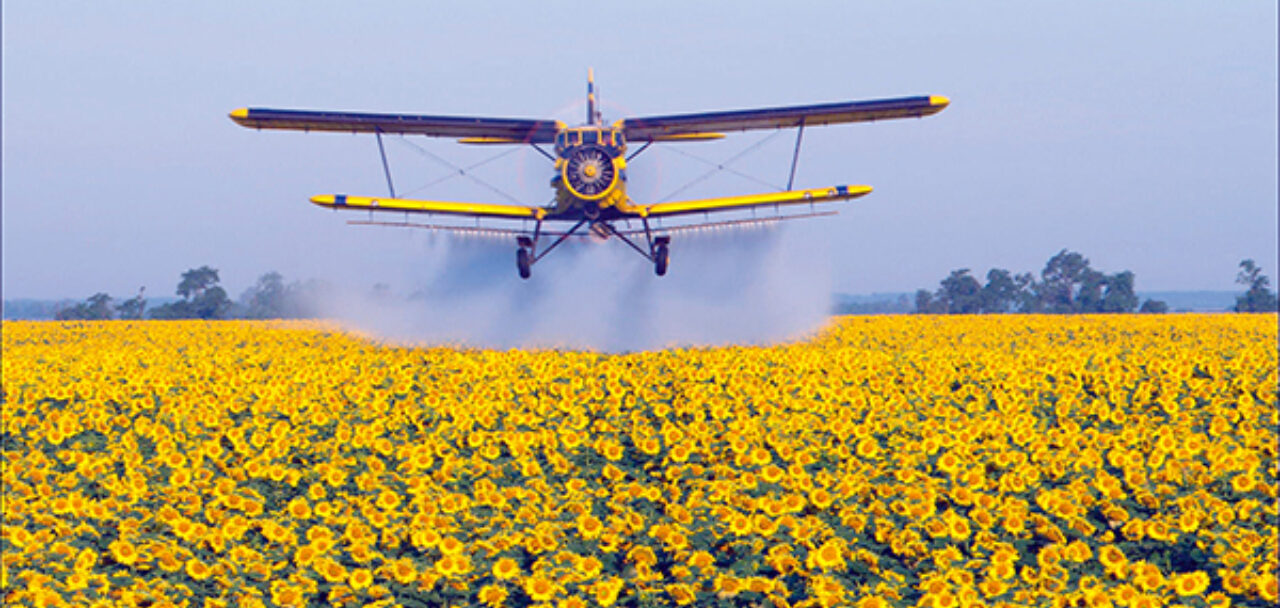 Unser taglich brot flieger