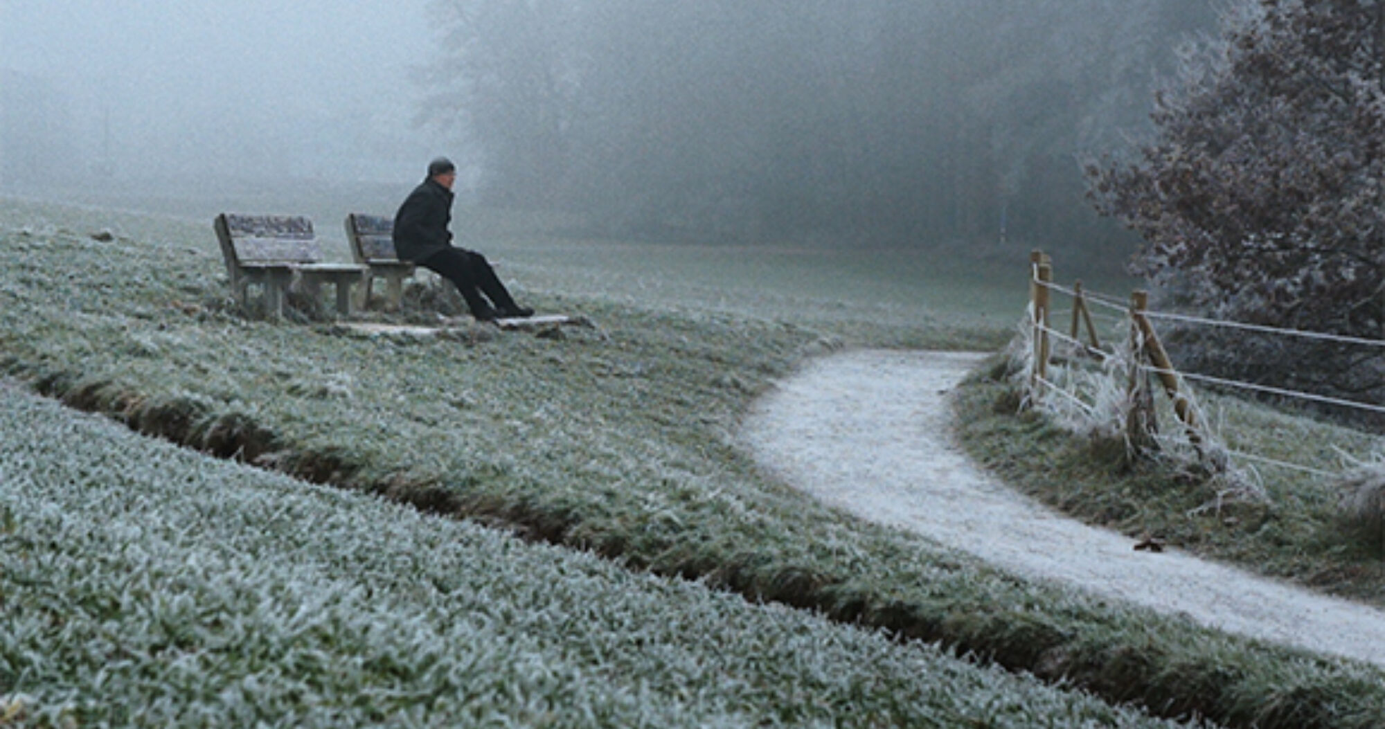 18 filmautor urs graf