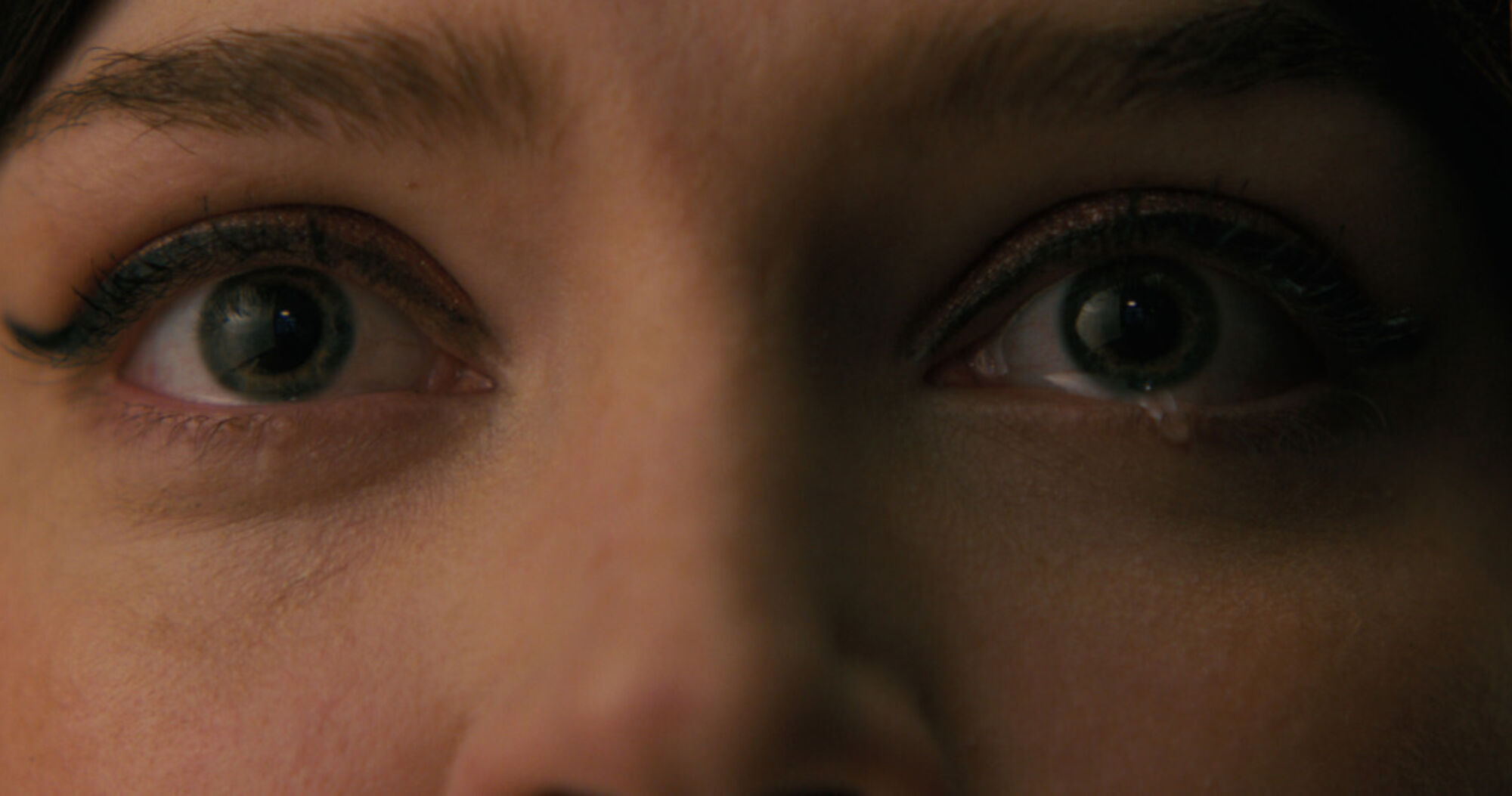 Companion Szenen ov rev 1 COM FP 0038 High Res JPEG