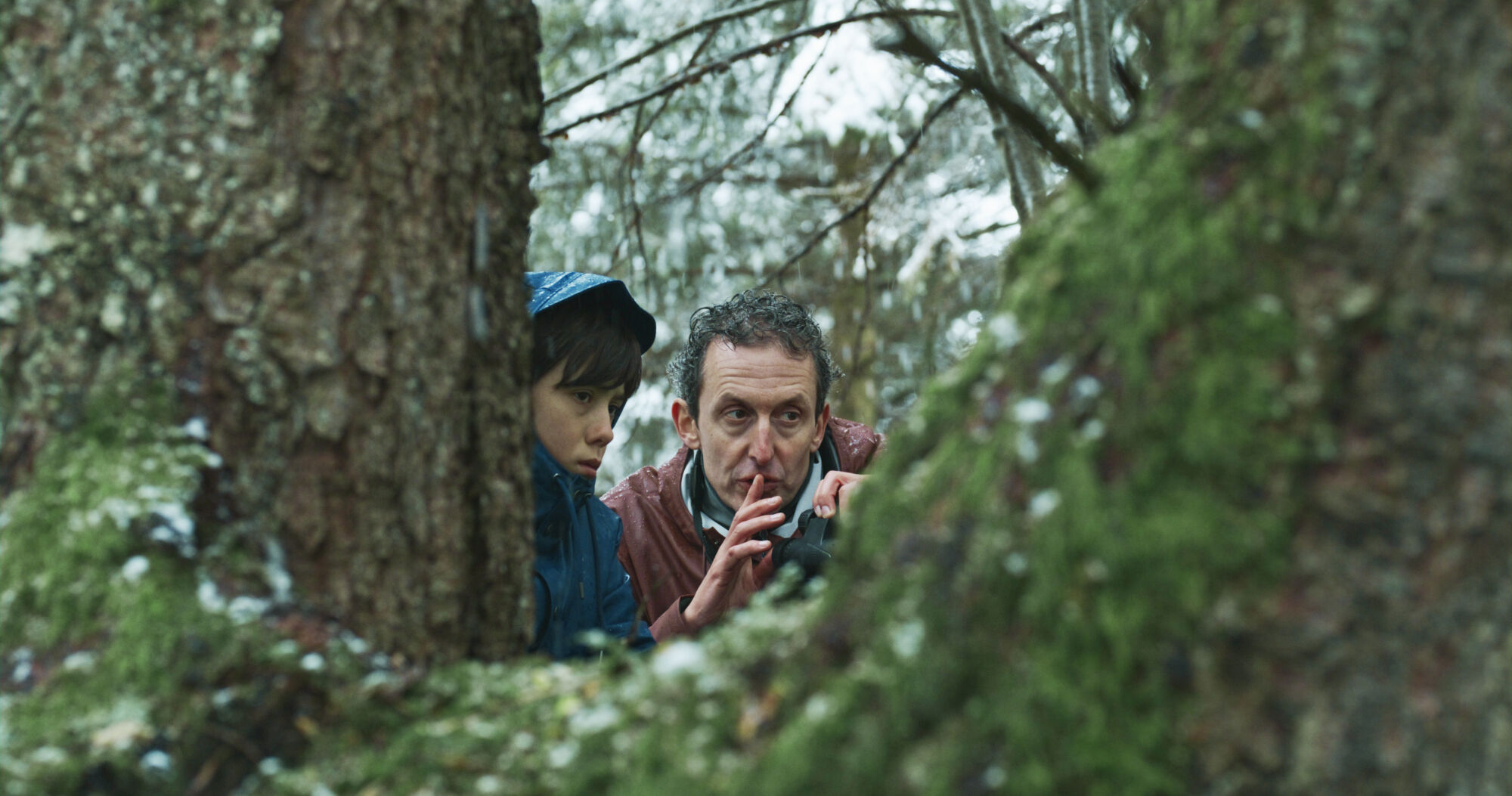 REDUIT Sister Distribution3