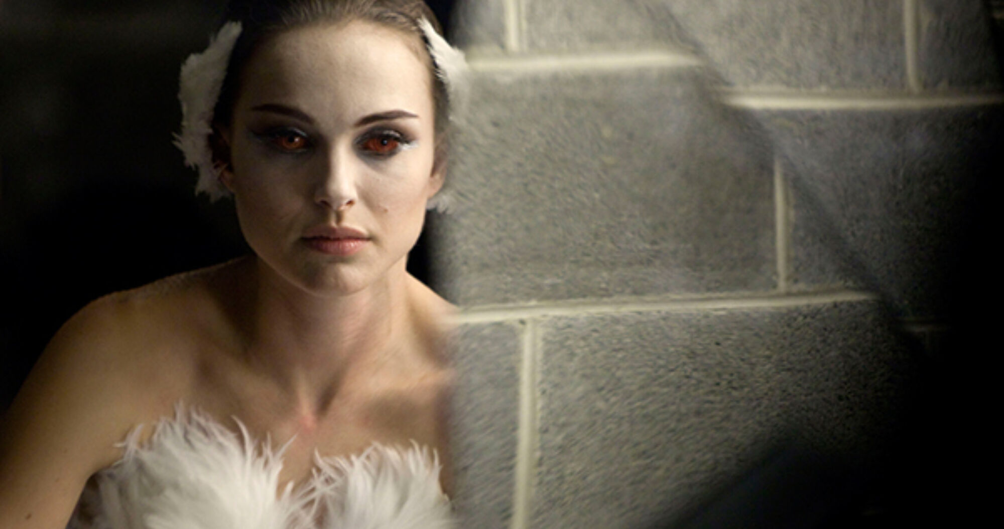 Black swan 16