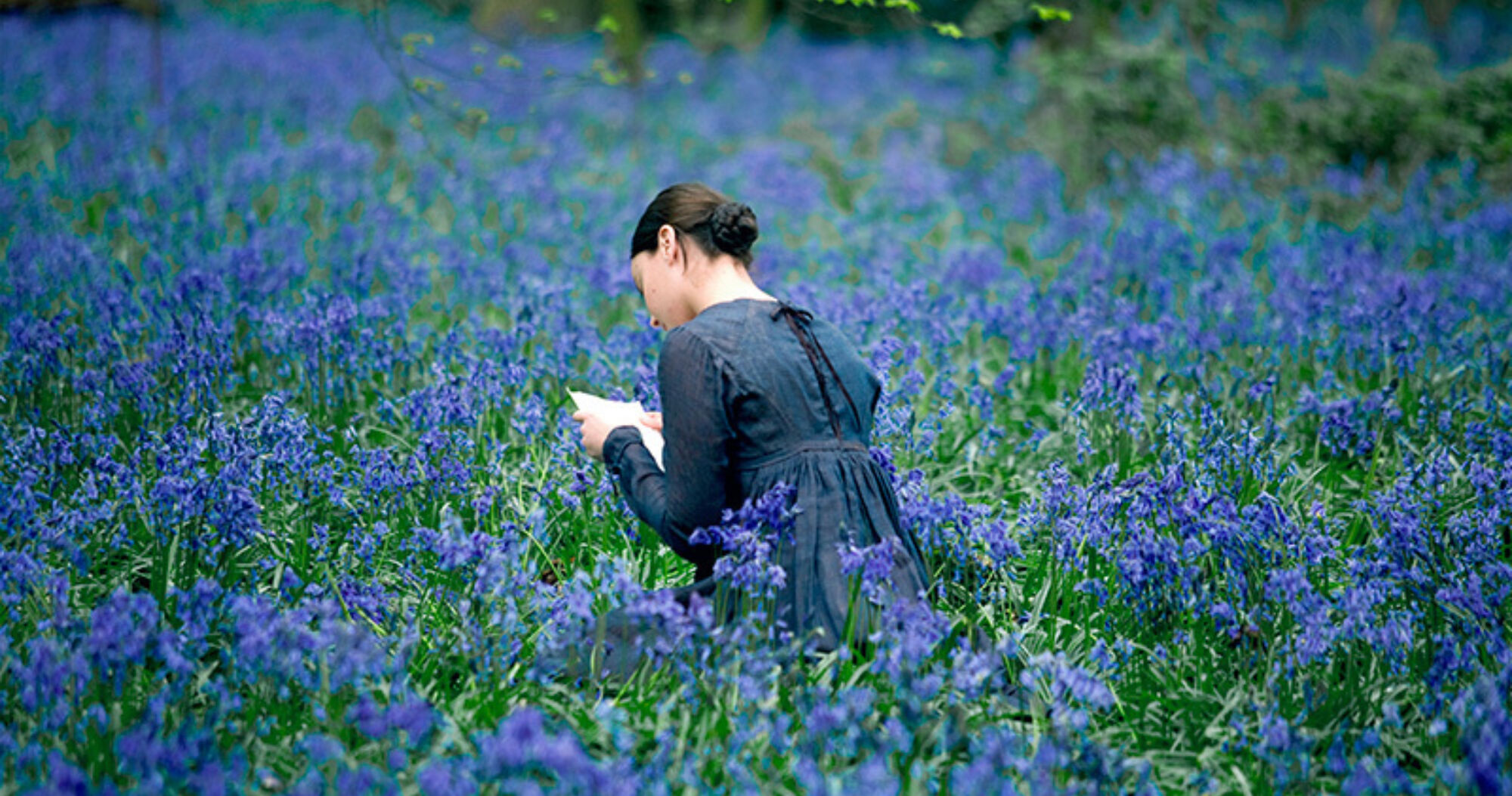 Bright star 01