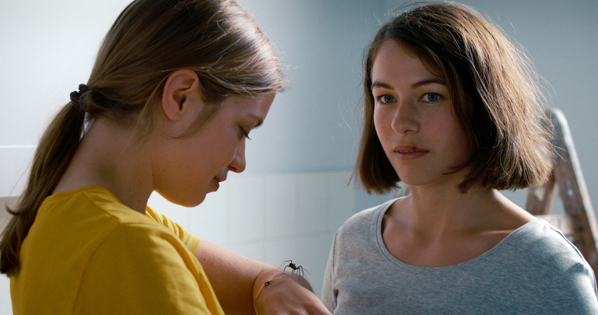 Das maedchen und die spinne image1 main beauvoir films