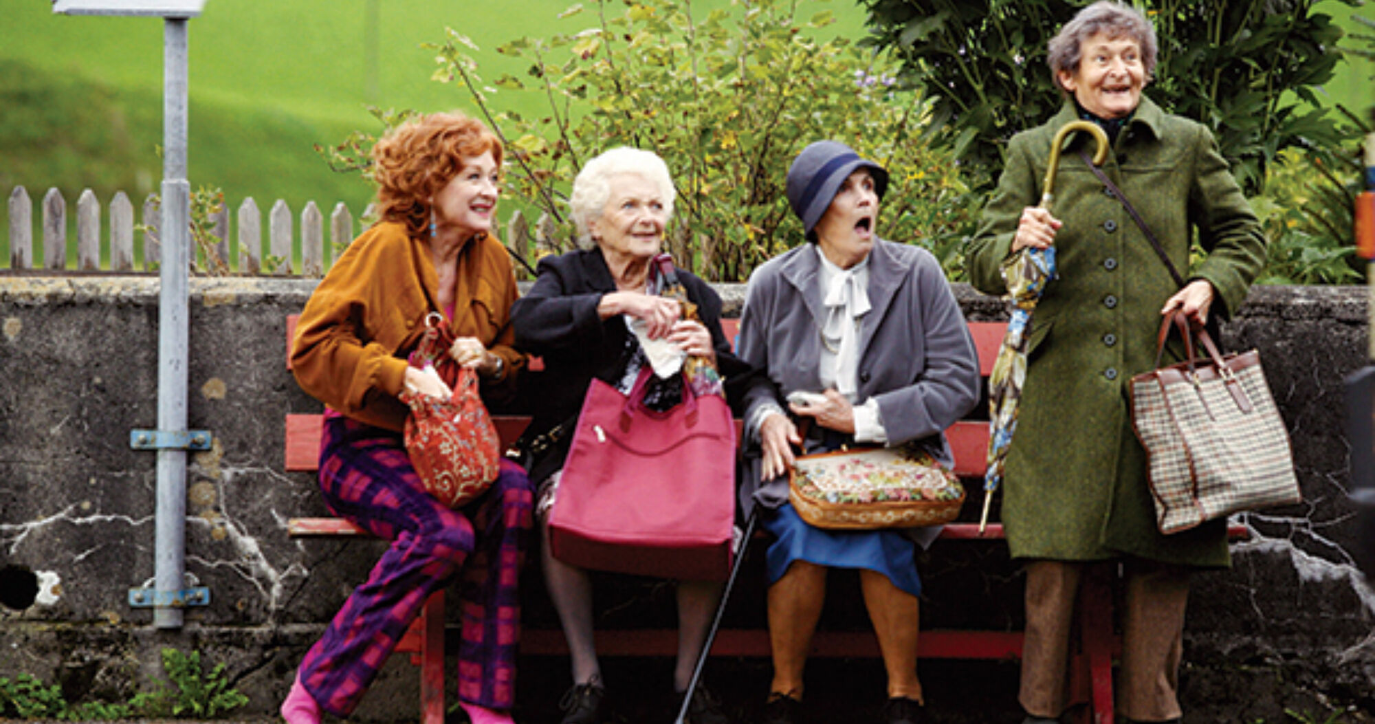 Die herbstzeitlosen 04