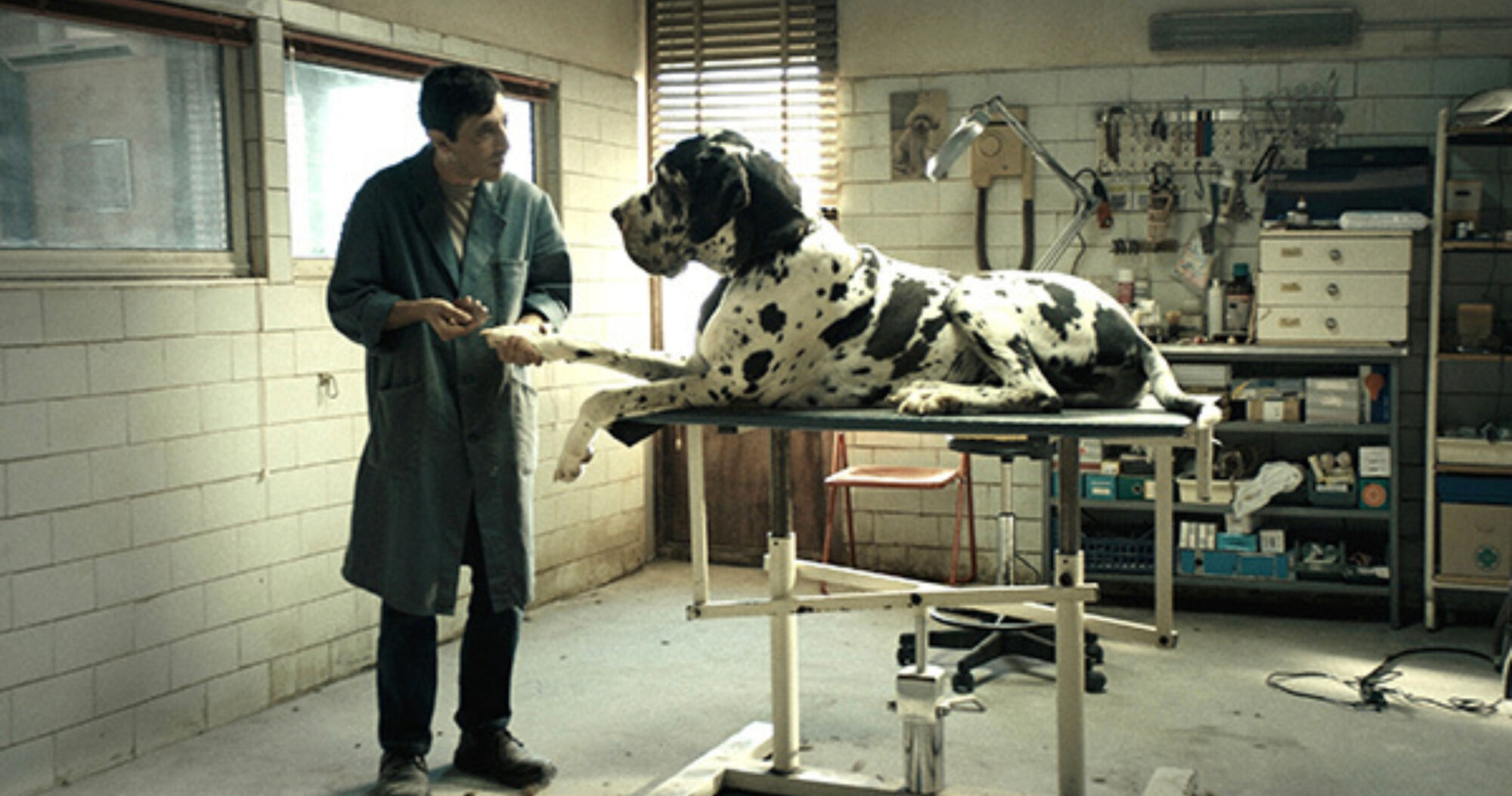 Dogman 2 marcello fonte