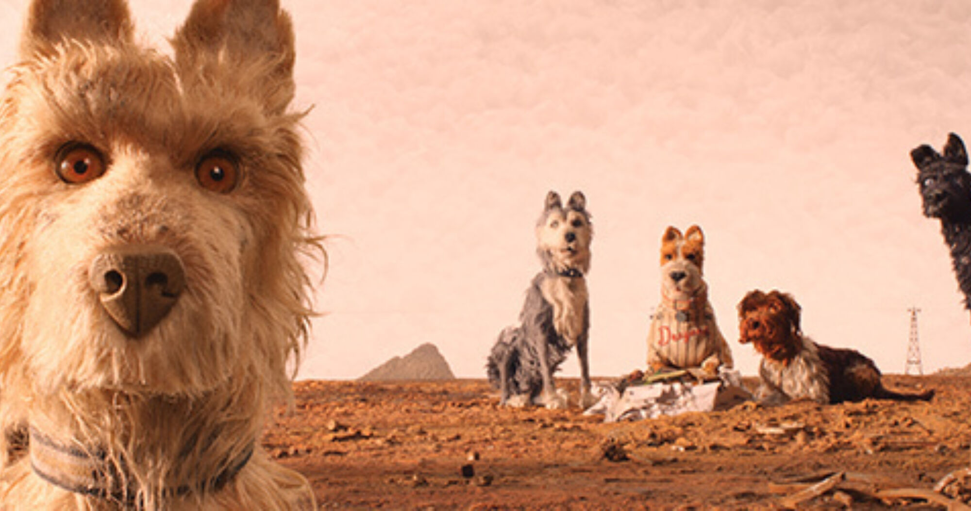 Isle of dogs 2