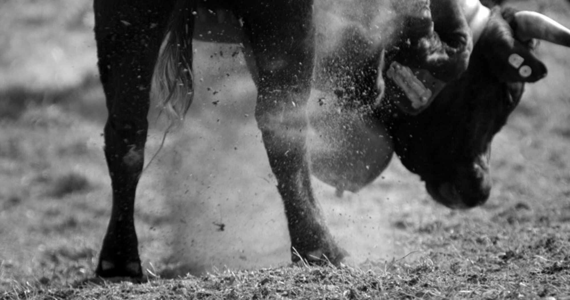 Kampf der koeniginnen 01