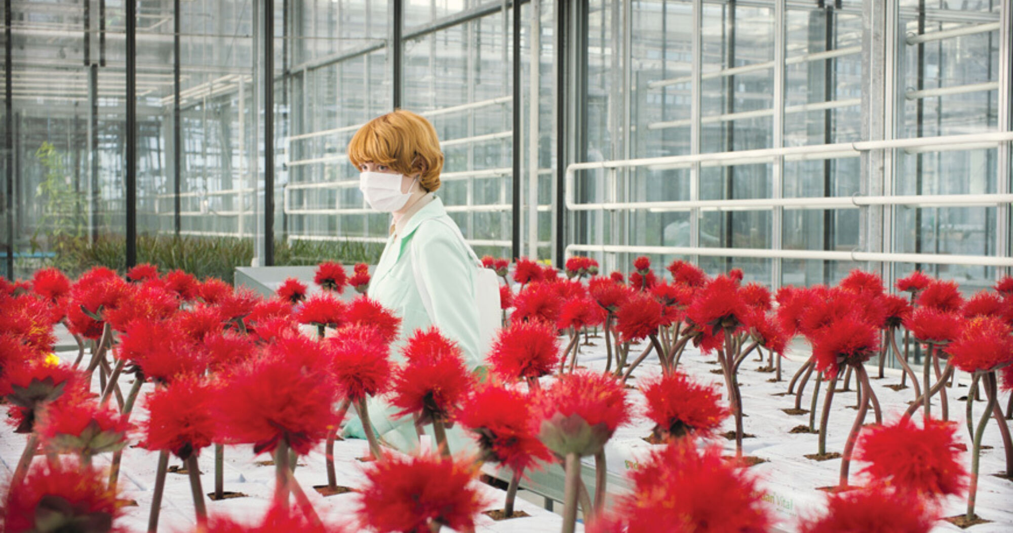 Littlejoe filmstill1