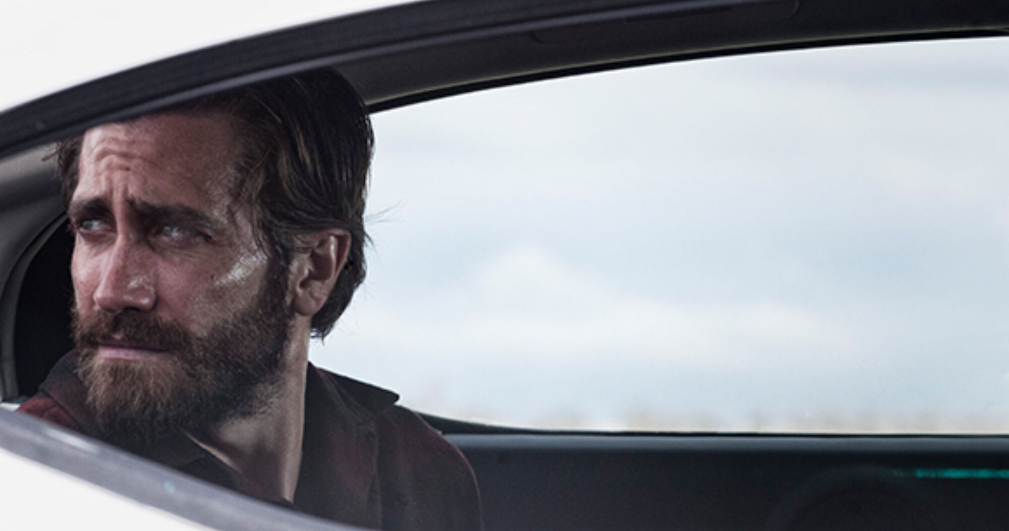Nocturnal animals 2