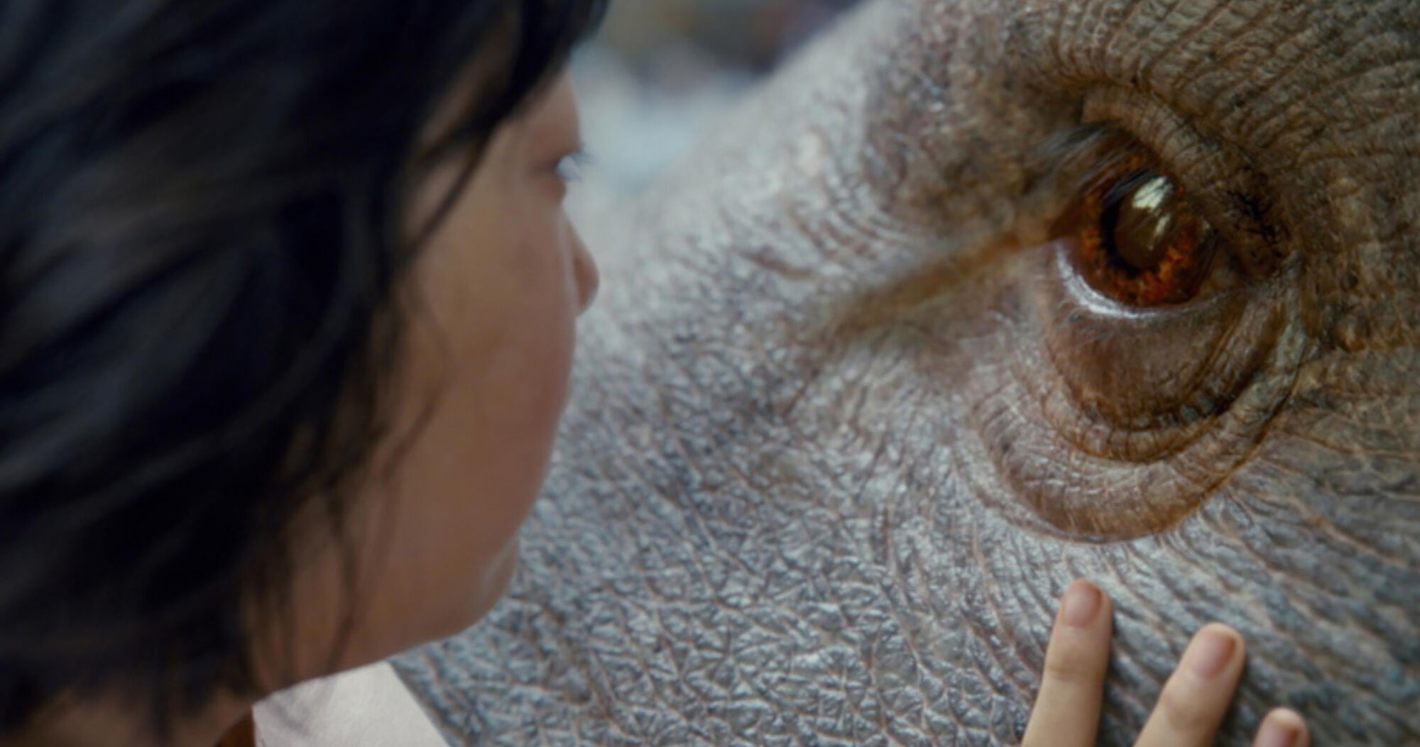 Okja4b