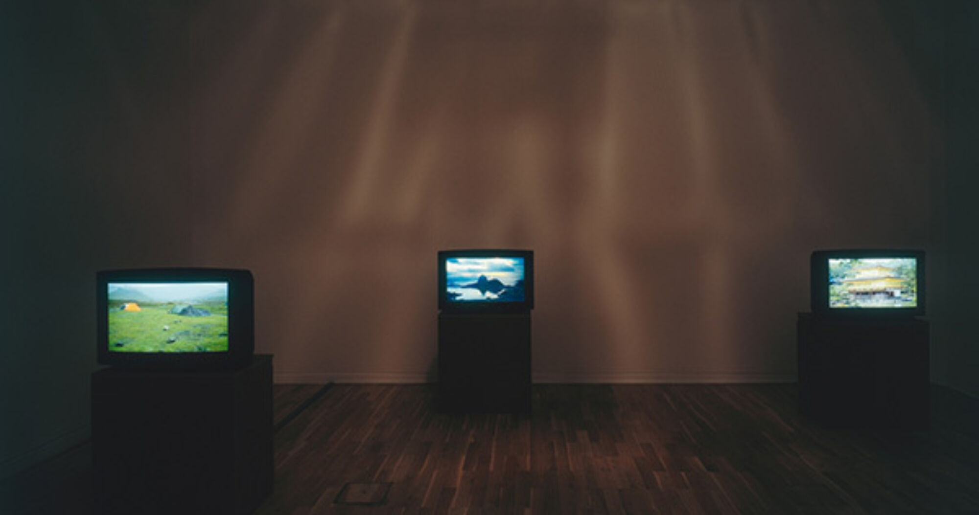 Peterfischli davidweiss