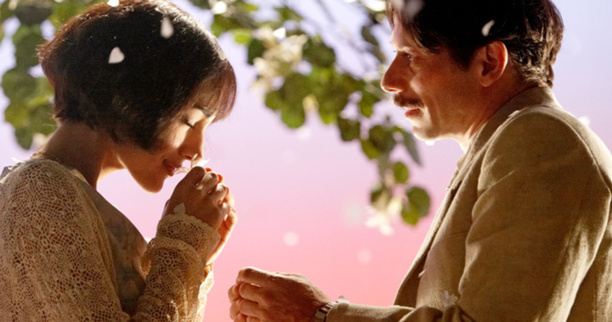 Poulet aux prunes 01