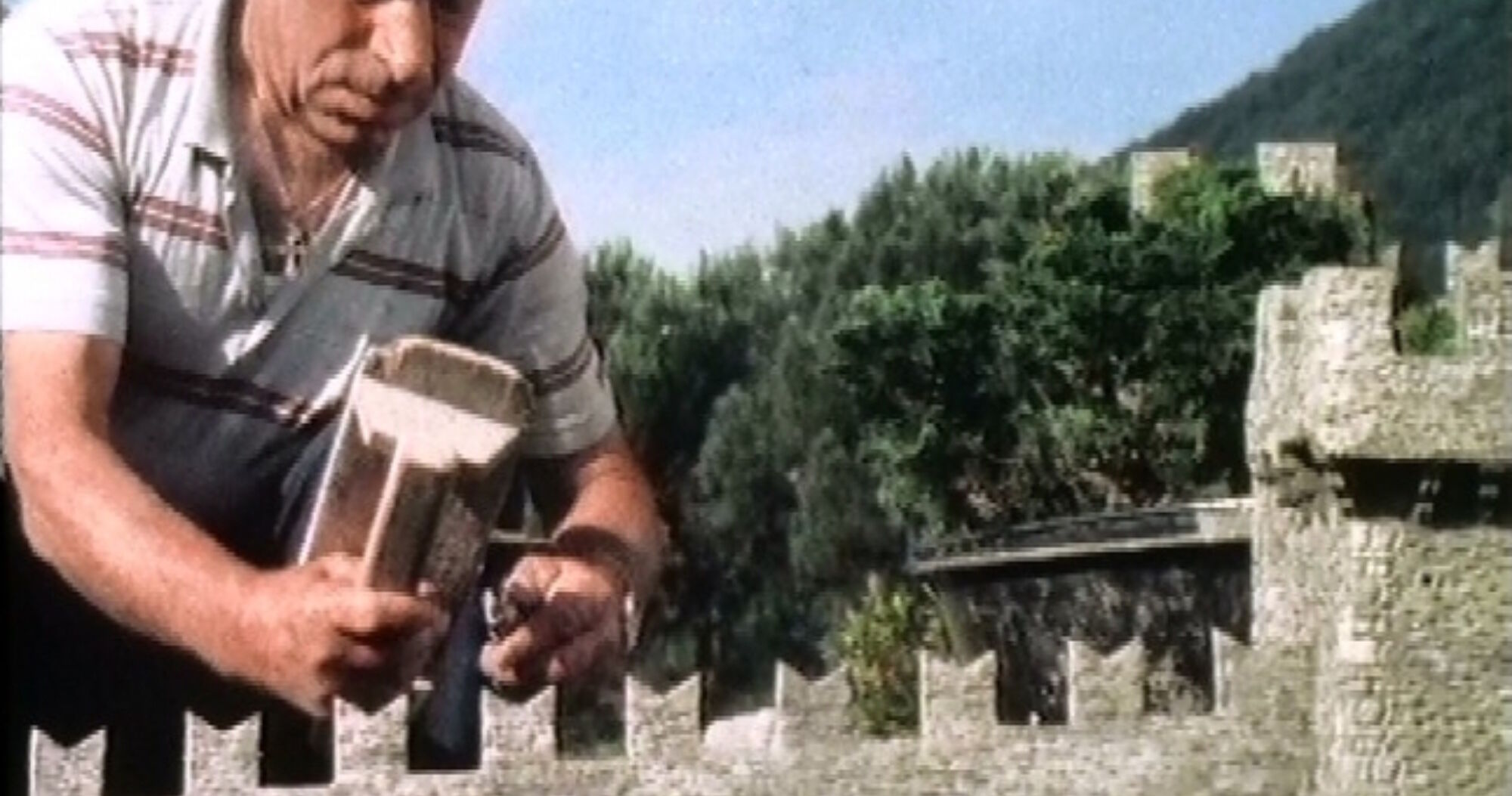 Reisen ins landesinnere 5