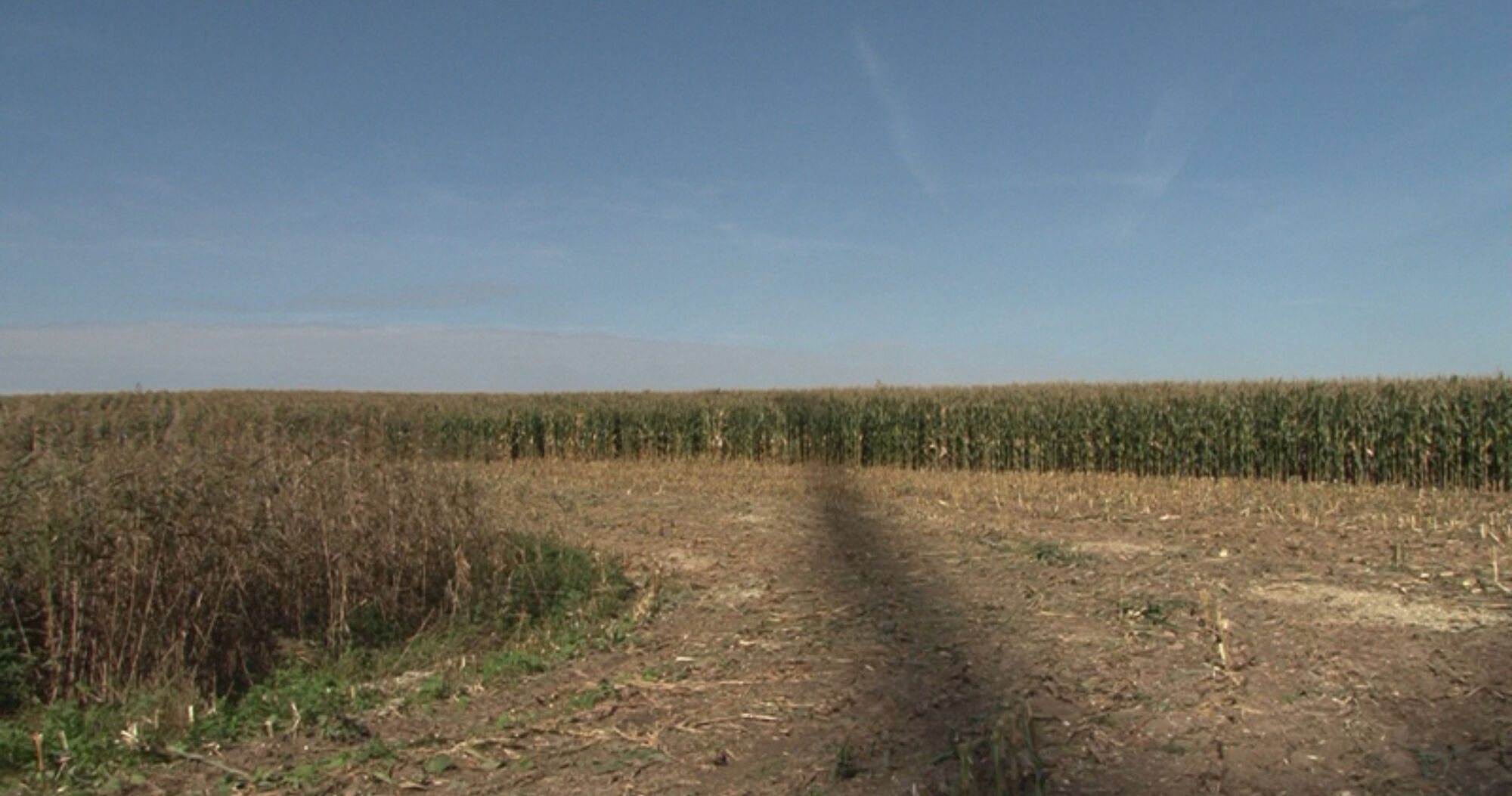 Revision5 copyright bernd meiners pong