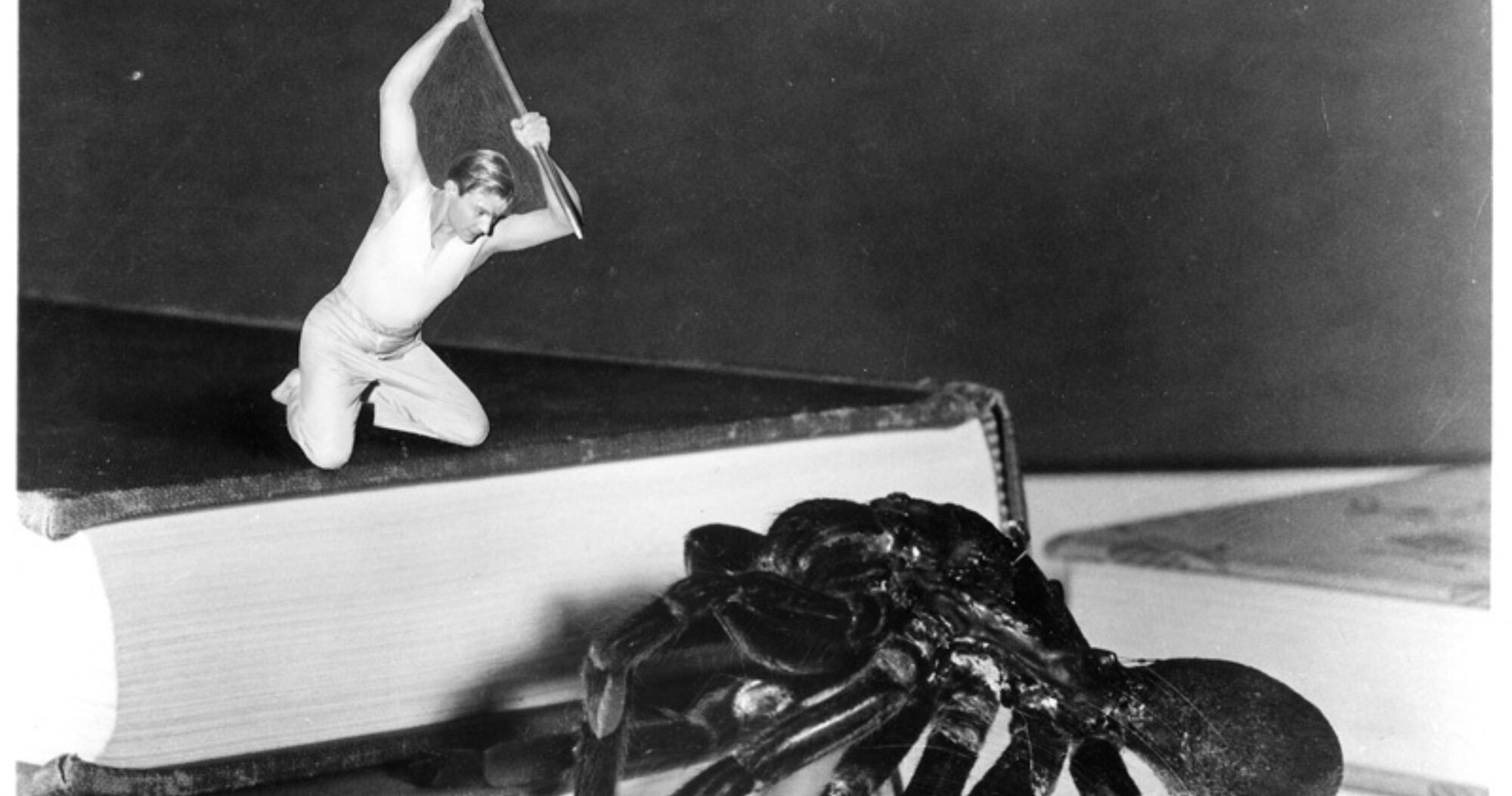 The incredible shrinking man 002 1000022789