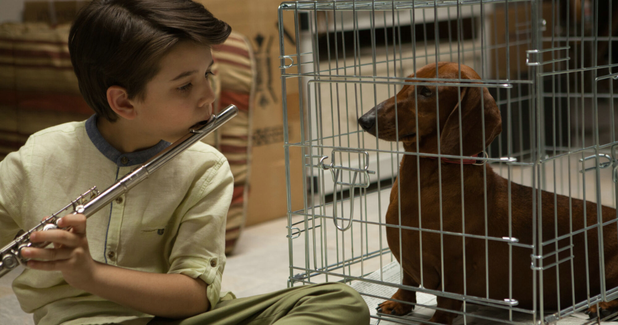 Wiener dog filmstill 02 1400